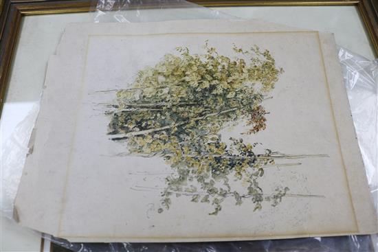 David Cox, watercolour, valley landscape, signed, 19 x 24cm and an unframed study of vines